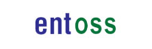 Entoss Technologies - Top Companies Entoss Technologies
